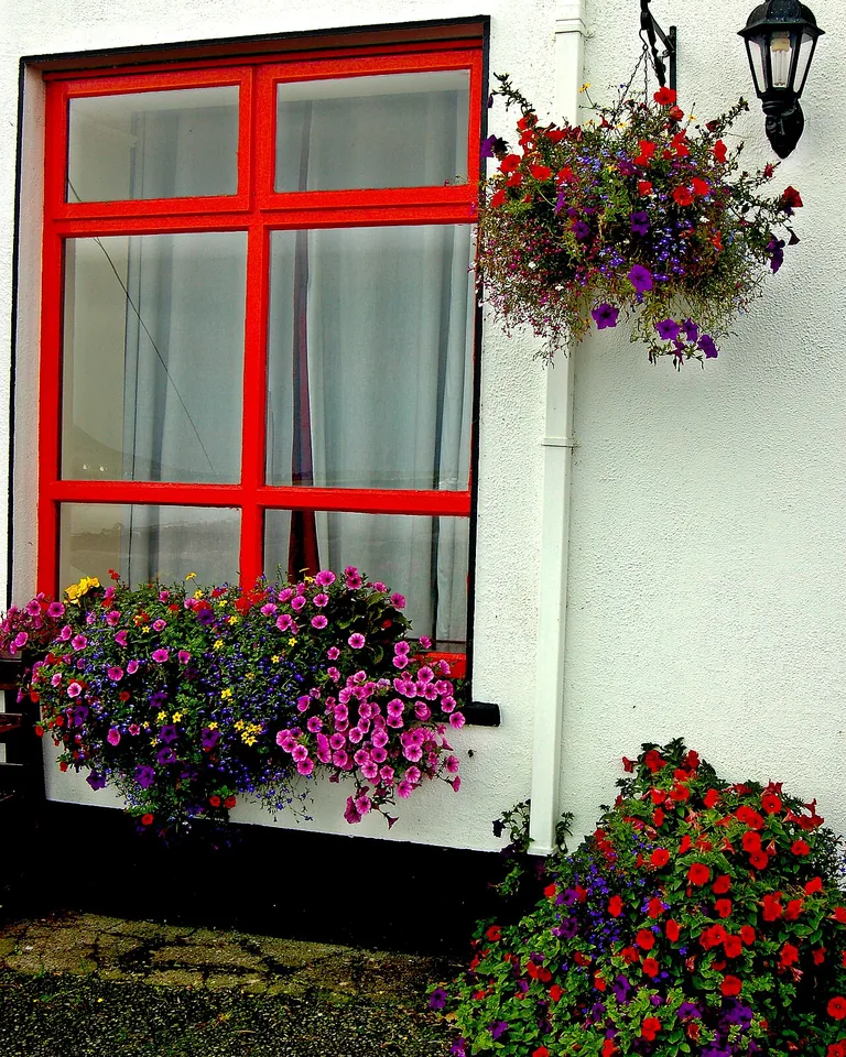 11 Window Painting Ideas for Beautiful Painted Glass (Easy DIY Guide) 5 White line art flowers drawn on a glass window