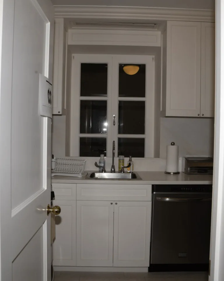 11 Kitchen Window Ideas That Make the Whole Kitchen Feel Brighter 6 Kitchen sink set under a window with daylight streaming in