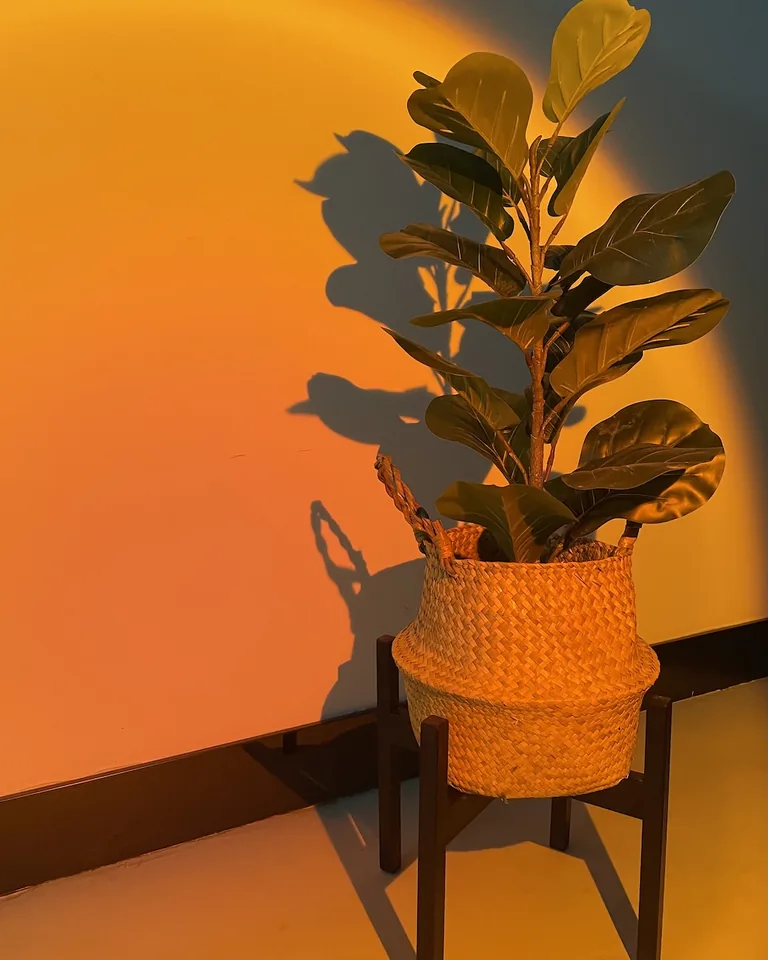 12 Greenery Bedroom Ideas That Make Your Room Feel Alive 14 Freestanding plant stands with lush greenery in a rental bedroom