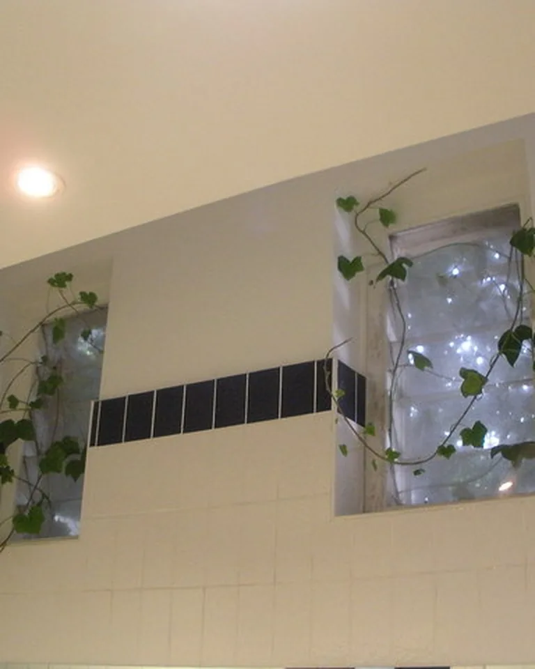 Tall indoor plants placed in front of a bright window as a living screen